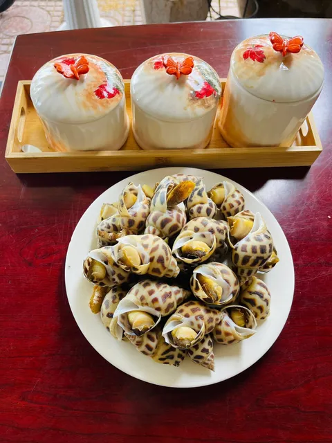 Ốc hương sống – Vạn Ninh – Cam Ranh (Khánh Hòa)
