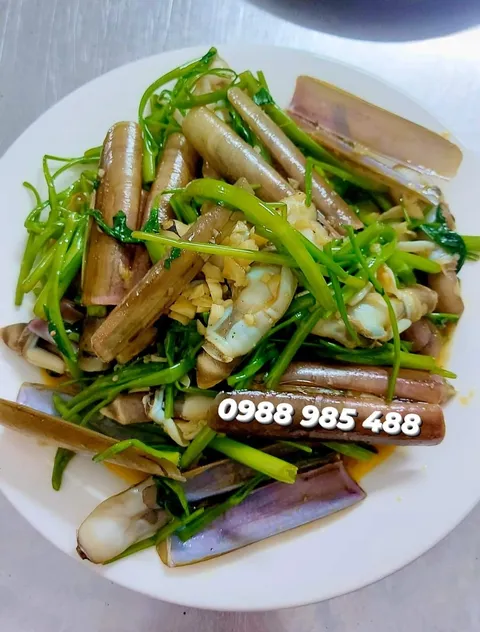 Ốc móng tay sống – Vùng biển Khánh Hòa