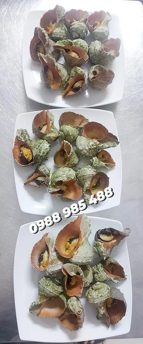 Ốc nhảy hấp sả – món hải sản Thu Hoài, Nha Trang
