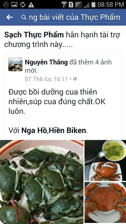 Nguyên Thắng · Cua: Được bồi dưỡng cua thiên nhiên, súp cua đúng chất. OK luôn.